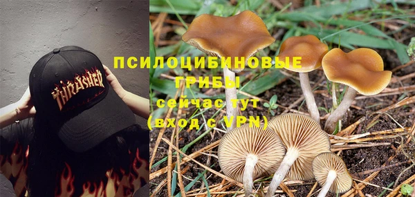 ешки Арсеньев