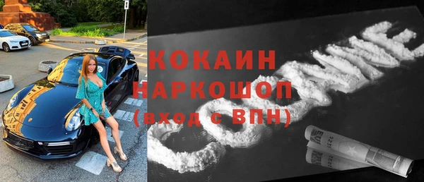 тгк Михайлов