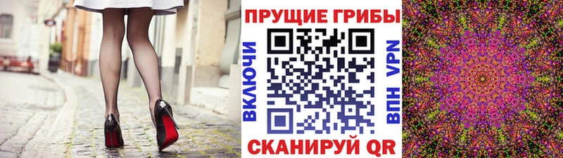 Галлюциногенные грибы Psilocybine cubensis  Советская Гавань 